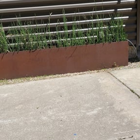 Bush Trimming by SLD Affordable Lawn and Contracting Services reviewed on August 16, 2025