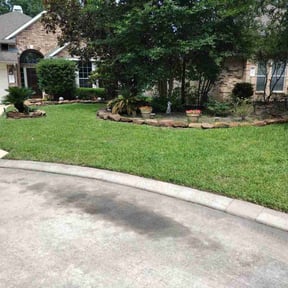 lawn service by REAMSLAWNCARE LLC reviewed on August 16, 2025