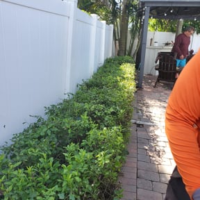 Bush Trimming by S&K Lawn care reviewed on August 17, 2025