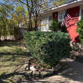 Bush Trimming by Fathers N Sons Lawn Care reviewed on August 20, 2025