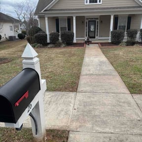 Bush Trimming by Michael Warren reviewed on February 26, 2026