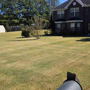 Bush Trimming by Fortanel lanscaping reviewed on August 18, 2025