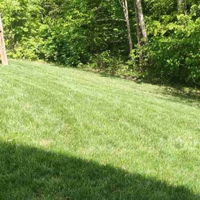 lawn care services by Green King reviewed on May 1, 2024