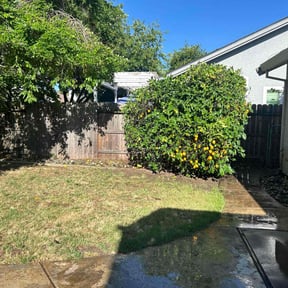 Bush Trimming by Mauler Mowing LLC reviewed on November 25, 2025