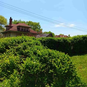 Bush Trimming by Cedar Creek Landscaping reviewed on August 20, 2025