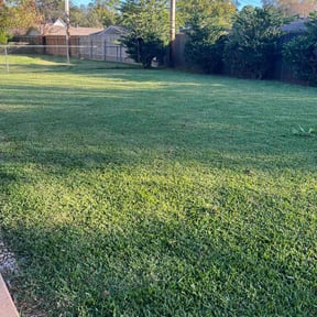 lawn care services by WATSON LANDSCAPING reviewed on August 26, 2023