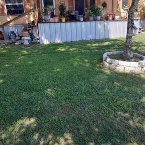landscaping services by Mow It Alls Of Vero LLC reviewed on August 20, 2025