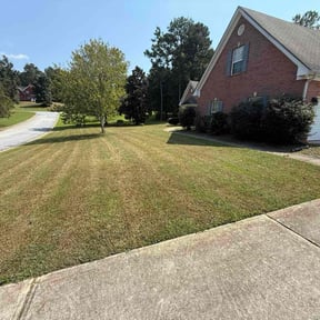 Bush Trimming by Loco’s Lawn Care and Home Repair reviewed on October 24, 2025