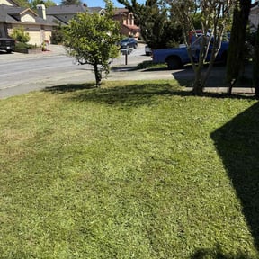 lawn maintenance by Native hand's Landscapping reviewed on July 19, 2025