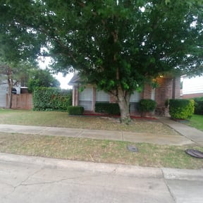 Bush Trimming by Chacon Lawn Care reviewed on August 17, 2025
