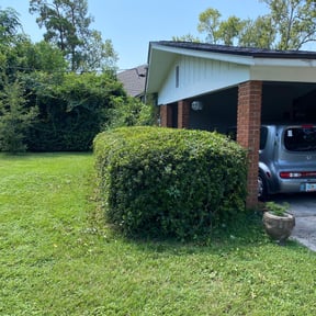 Bush Trimming by 3D GARDEN DESIGN and lawn care reviewed on August 21, 2025