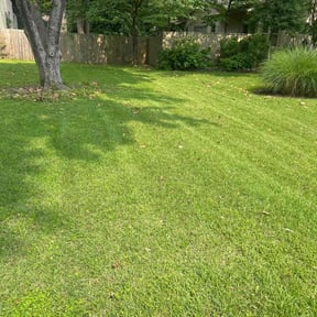 yard care by Dlawncare reviewed on August 16, 2025