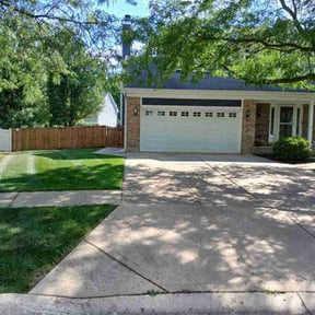 landscaping by Plant Based Business reviewed on December 2, 2025