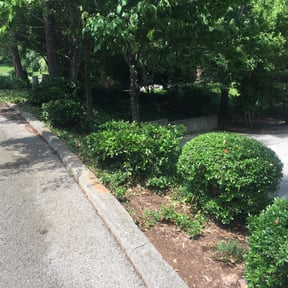 Bush Trimming by DWB Lawn Care Services reviewed on August 19, 2025