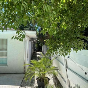 Leaf Removal by &quot;Low Cost-in&quot; &quot; Lawn &amp; Things&quot; reviewed on September 26, 2025