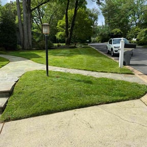 yard maintenance by Luxury Lawn and Landscaping reviewed on February 4, 2026