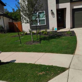 lawn care by ABC Lawn Co. reviewed on March 29, 2024