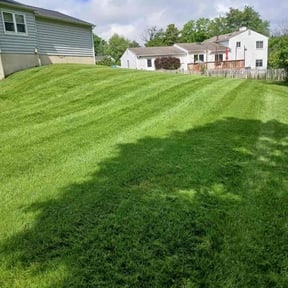 yard work by Johnny Shaw reviewed on August 21, 2025