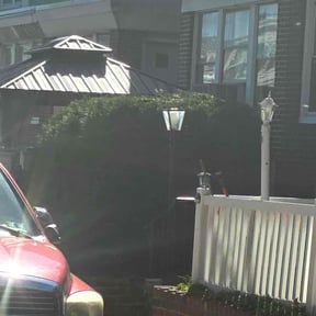 Bush Trimming by Creative landscaping reviewed on November 18, 2025