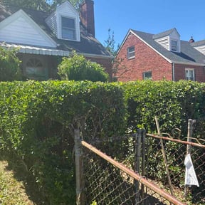 Bush Trimming by Custom lawns and outdoors reviewed on June 13, 2026