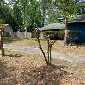 Bush Trimming by ESP Mowtivate Lawn Care reviewed on August 21, 2025