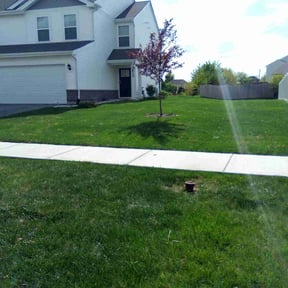 turf care by Hass's grasses and services reviewed on August 21, 2025