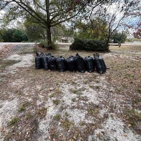 Leaf Removal by Top Cut Lawns reviewed on November 23, 2025