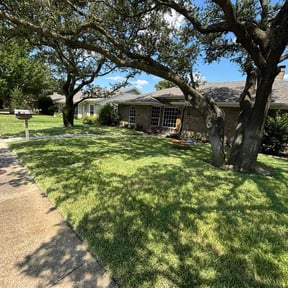 yard work by Blue Lagoon Lawn Service reviewed on August 19, 2025