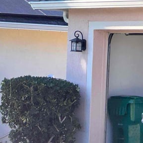 Bush Trimming by Guys Who Cut Grass reviewed on January 1, 2026