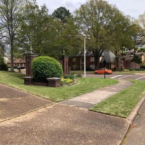 grass maintenance by P's lawn service reviewed on July 26, 2025