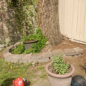 Flower Bed Weeding by CRP Landscape reviewed on October 5, 2024