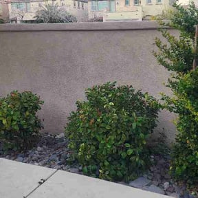 Bush Trimming by Justin Mundell reviewed on March 17, 2026