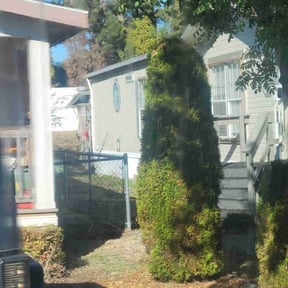 Bush Trimming by Jack Will Do It reviewed on October 21, 2025