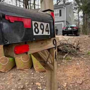 Leaf Removal by Troy's Lawn Care reviewed on August 19, 2025
