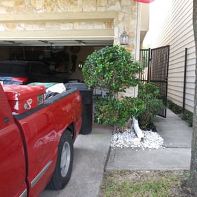 Bush Trimming by J&G lawn pros reviewed on August 16, 2025
