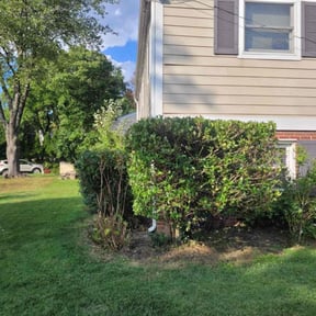 Bush Trimming by Weekend Warrior Landscaping reviewed on August 15, 2025