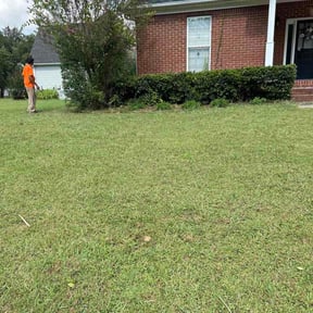 Bush Trimming by Toms’ Lawncare LLC reviewed on October 10, 2026