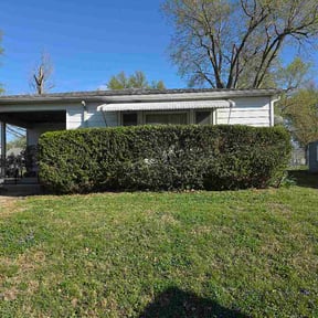 Bush Trimming by Sbm reviewed on April 9, 2026