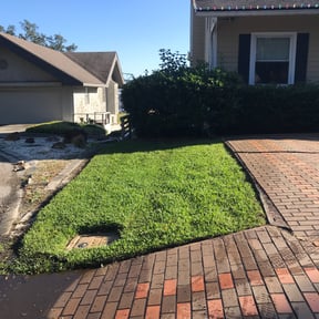turf care by GOLD LANDSCAPING reviewed on September 18, 2023