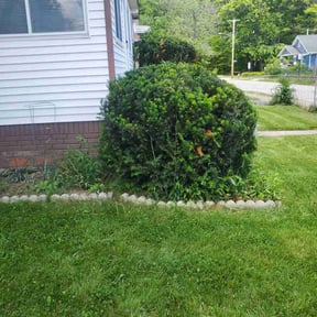 Bush Trimming by Allen Investments reviewed on August 15, 2025
