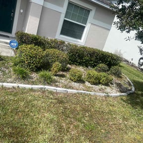 Bush Trimming by Ridgewood Landscape Management llc. reviewed on August 18, 2025