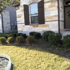Bush Trimming by Bennett Lawn Care reviewed on August 17, 2025