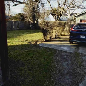 Bush Trimming by Dockstader Landscaping reviewed on August 20, 2025
