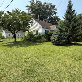 landscaping by The Lawn Cypress reviewed on August 19, 2025
