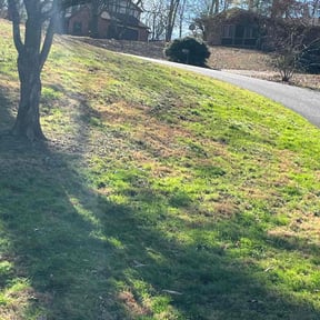 Leaf Removal by Mako Property Solutions, LLC reviewed on February 25, 2026