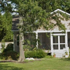 Bush Trimming by Jareds and Co Landscaping reviewed on July 19, 2026