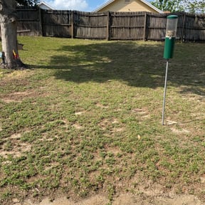 Leaf Removal by Twans lawns reviewed on August 19, 2025