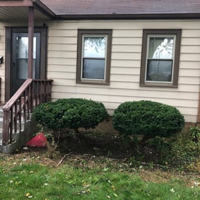 Bush Trimming by Tammy Becker Pool and Lawn Care reviewed on August 18, 2025