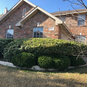 Bush Trimming by Better Price Lawn Service of Central Florida, LLC reviewed on August 13, 2025