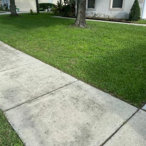 Bush Trimming by Bo Mows reviewed on August 17, 2025